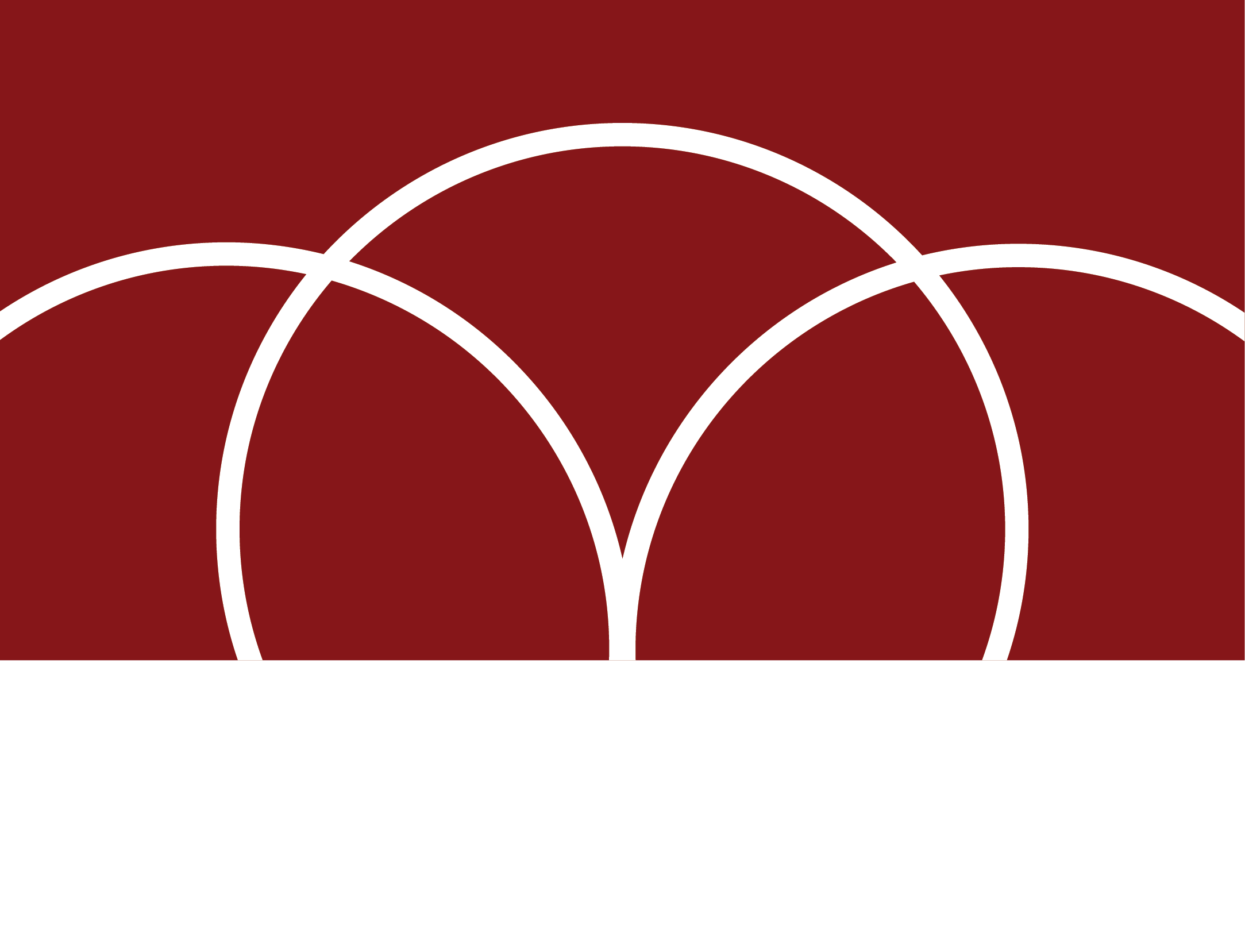 DiCosola Group Logo_white